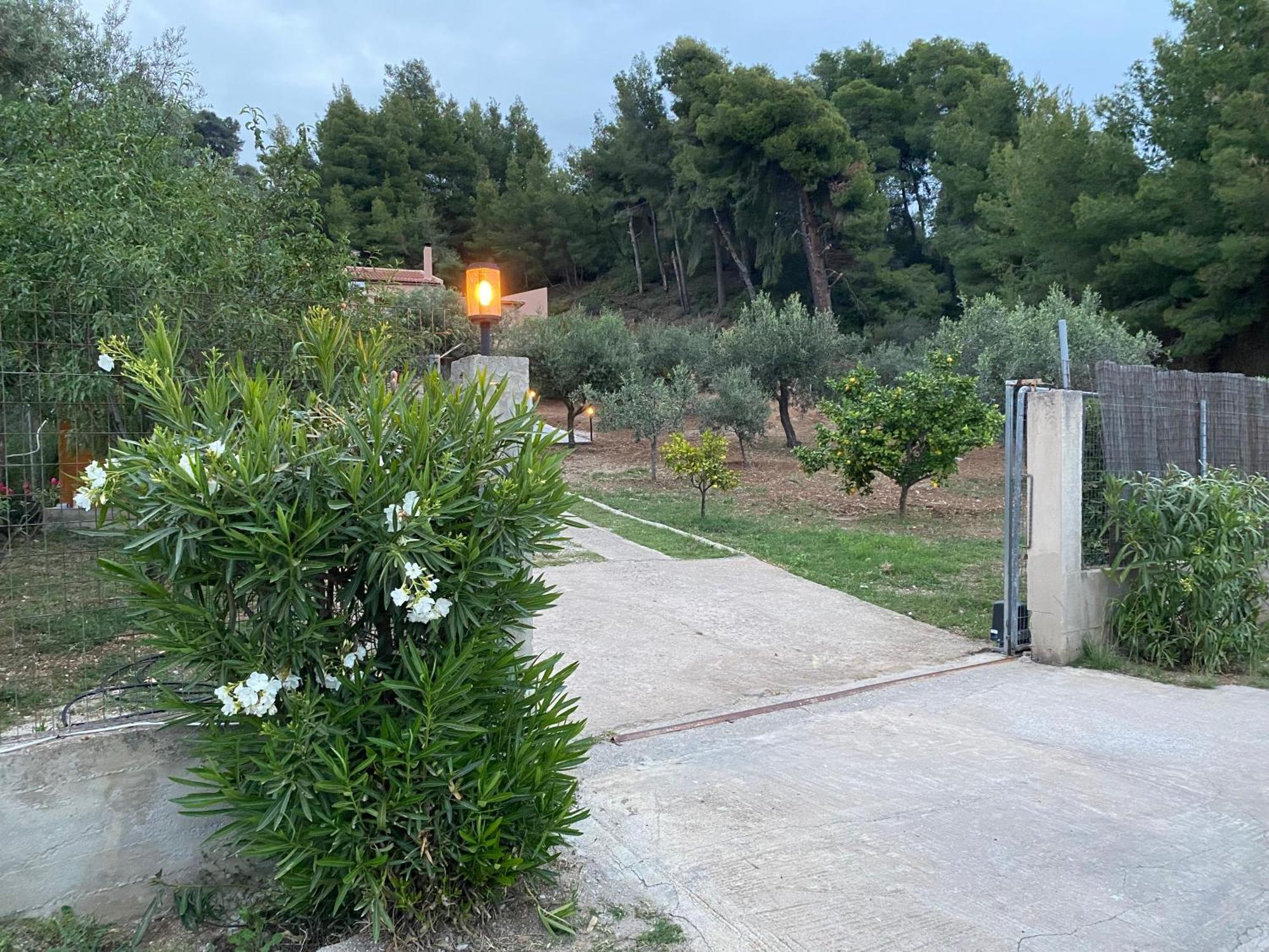 Holiday home Askalosia